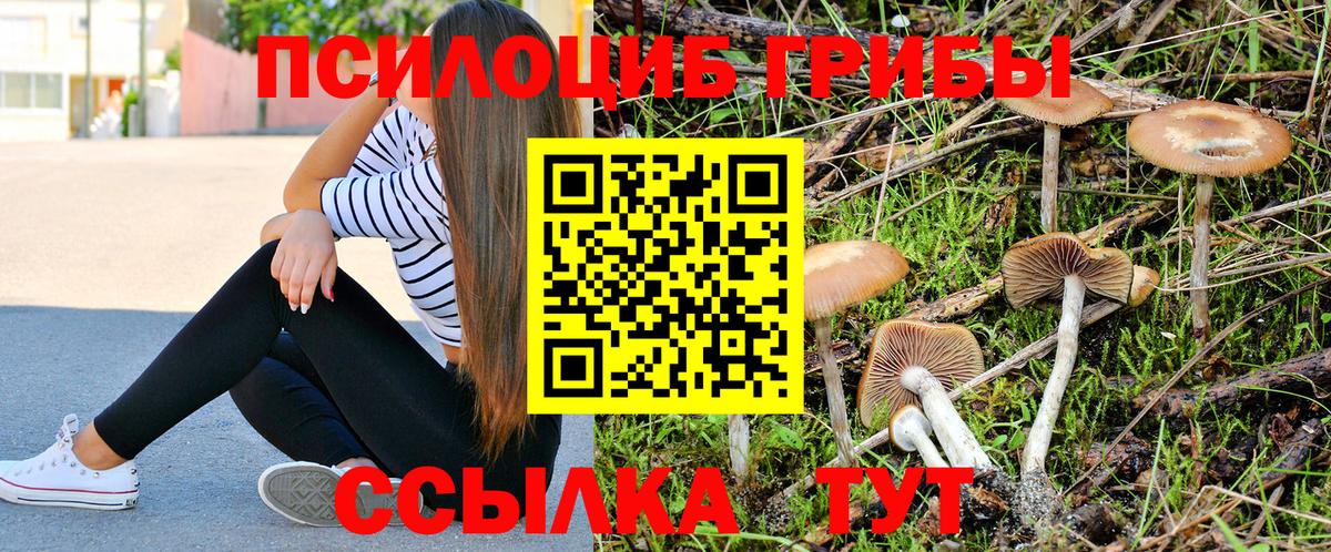 Галлюциногенные грибы GOLDEN TEACHER Знаменск