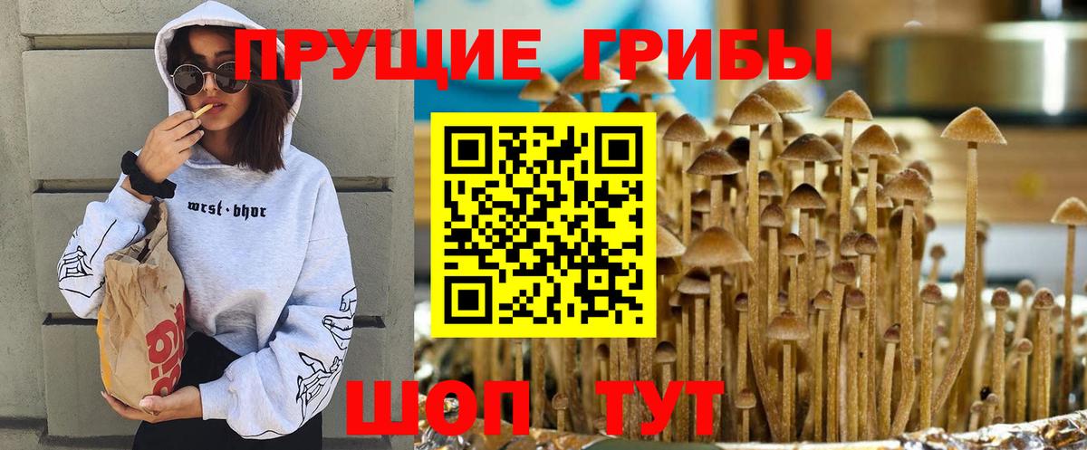 Псилоцибиновые грибы мухоморы  Вход с VPN  Знаменск 